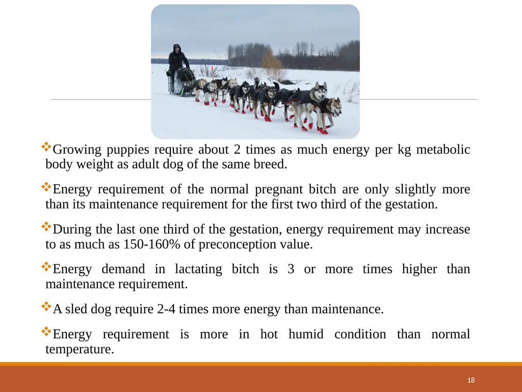 College of Veterinary Science & Animal Husbandry - slide 18 of 42