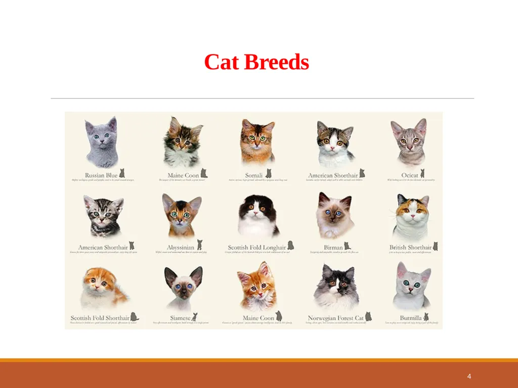 College of Veterinary Science & Animal Husbandry - slide 4 of 42