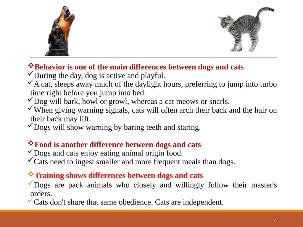 College of Veterinary Science & Animal Husbandry - slide 9 of 42