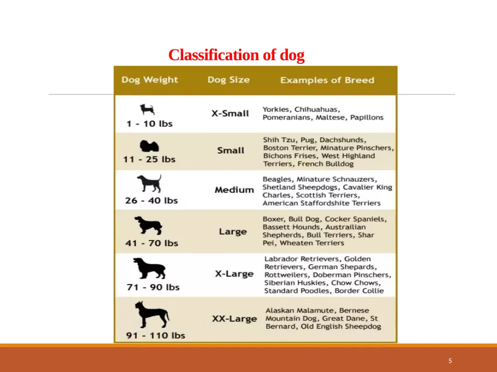 College of Veterinary Science & Animal Husbandry - slide 5 of 42