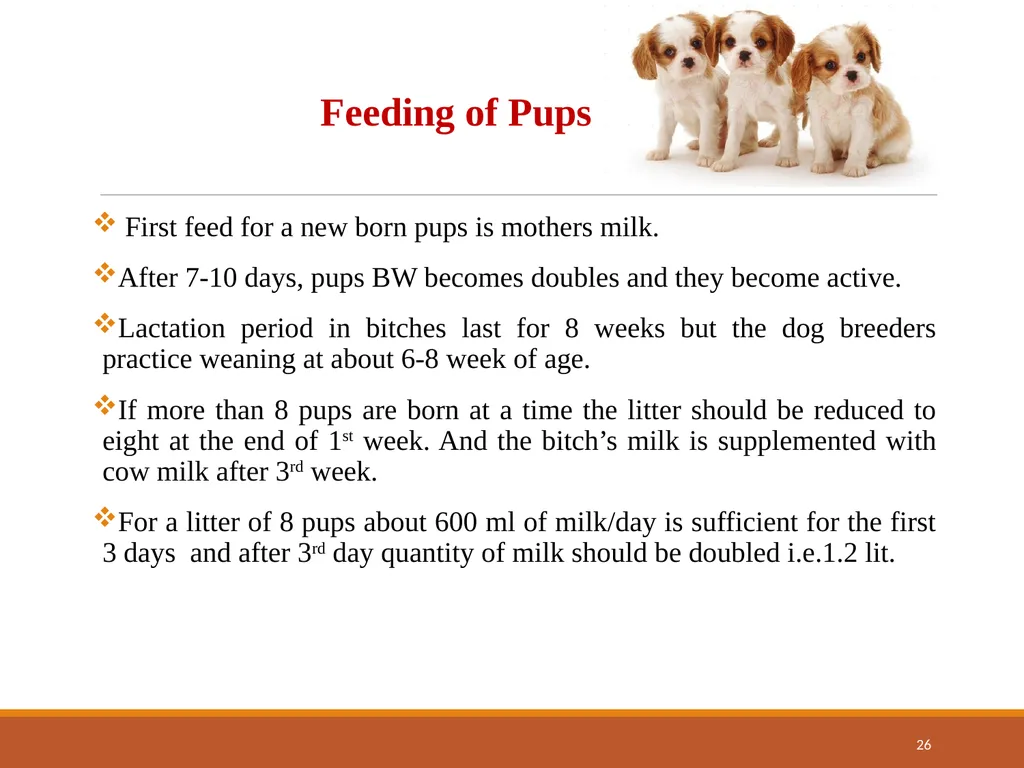 College of Veterinary Science & Animal Husbandry - slide 26 of 42