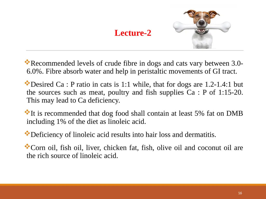 College of Veterinary Science & Animal Husbandry - slide 16 of 42