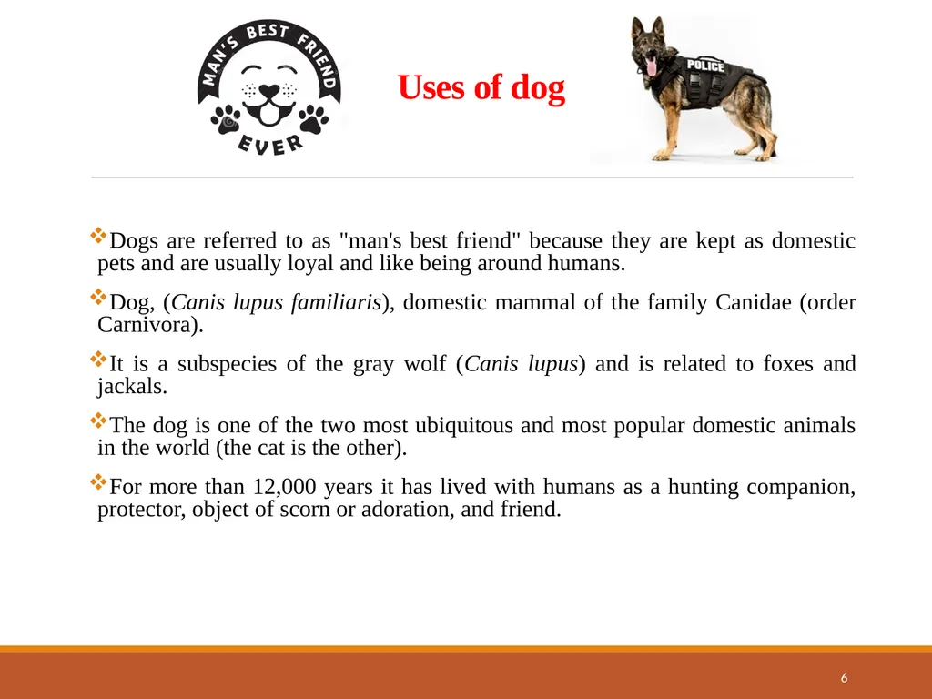 College of Veterinary Science & Animal Husbandry - slide 6 of 42