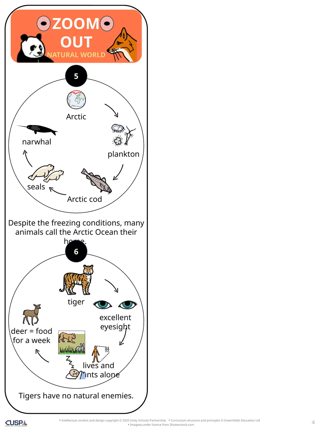 Story Knowledge Notes Zoom Out Natural World by - slide 4 of 7