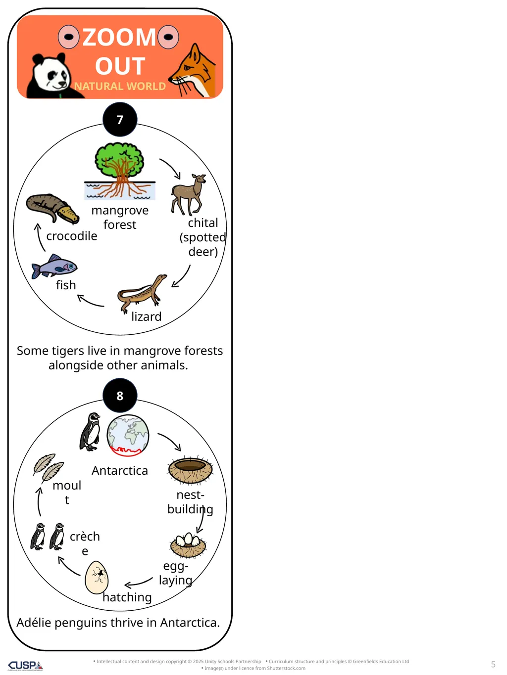 Story Knowledge Notes Zoom Out Natural World by - slide 5 of 7