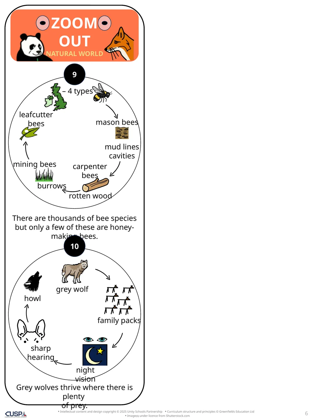 Story Knowledge Notes Zoom Out Natural World by - slide 6 of 7