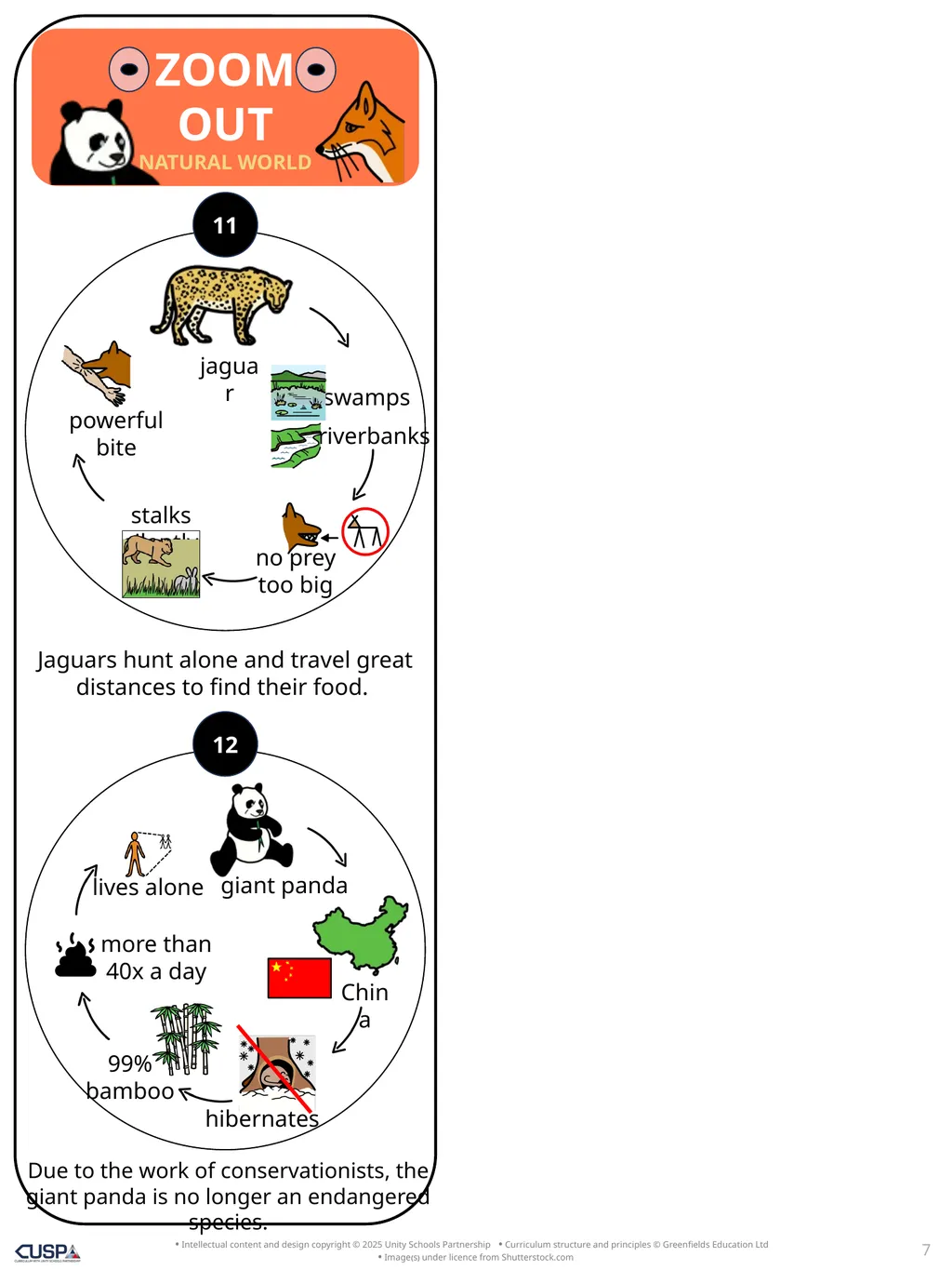 Story Knowledge Notes Zoom Out Natural World by - slide 7 of 7