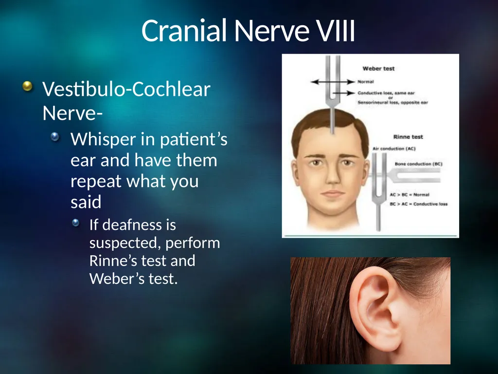 Neuro 101: Nursing Neuro Assessment Kristen - slide 24 of 29