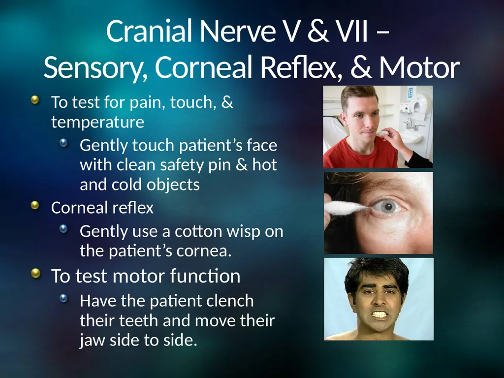 Neuro 101: Nursing Neuro Assessment Kristen - slide 23 of 29