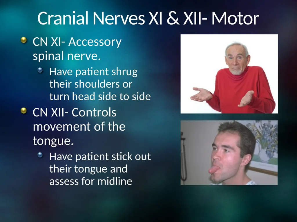 Neuro 101: Nursing Neuro Assessment Kristen - slide 26 of 29