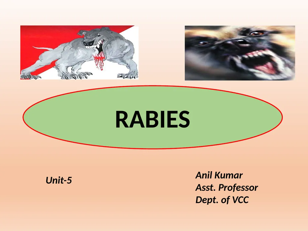 RABIES Unit-5 Anil Kumar Asst. Professor Dept. of - slide 1 of 13
