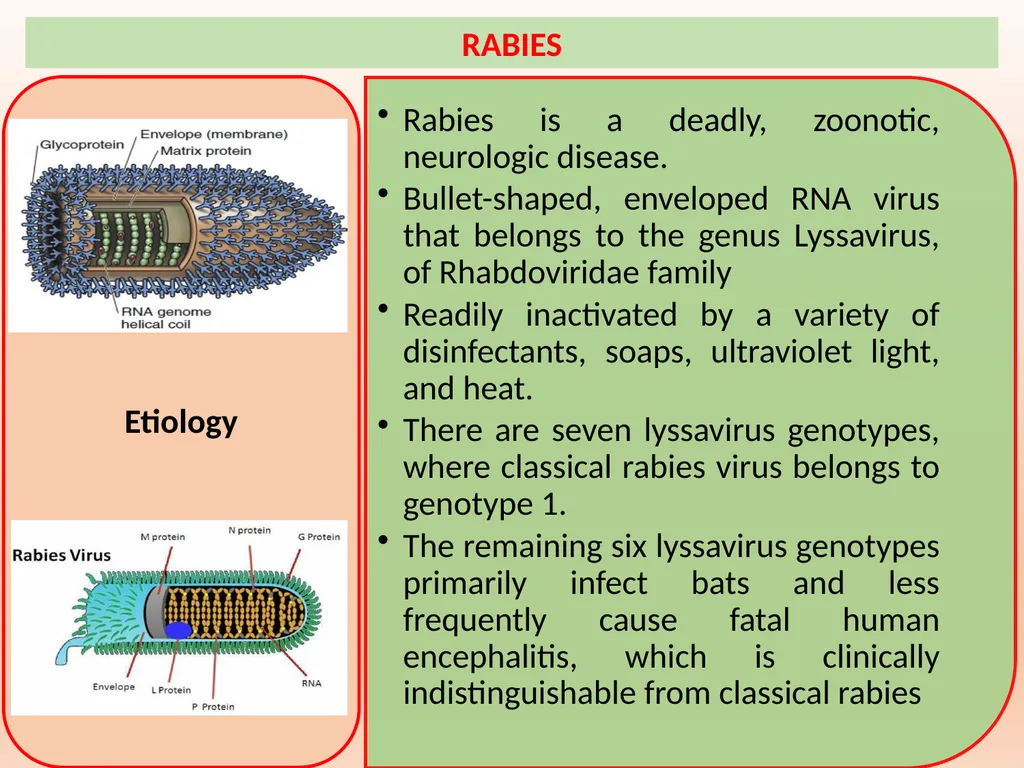 RABIES Unit-5 Anil Kumar Asst. Professor Dept. of - slide 2 of 13