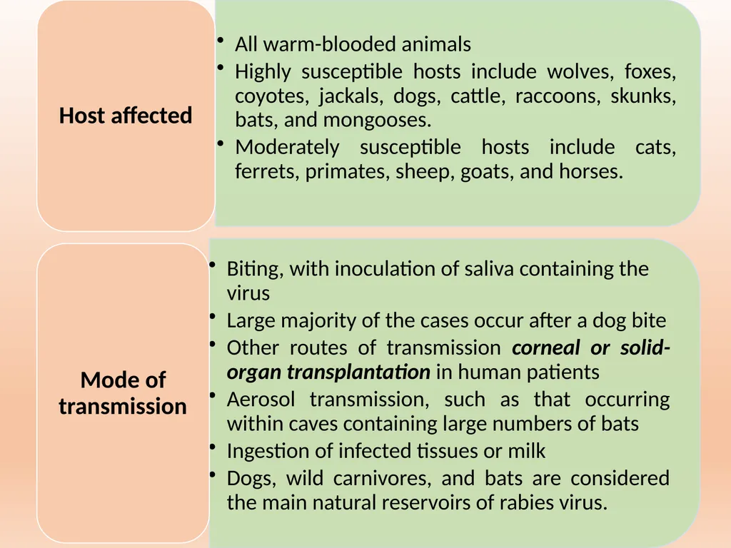 RABIES Unit-5 Anil Kumar Asst. Professor Dept. of - slide 3 of 13