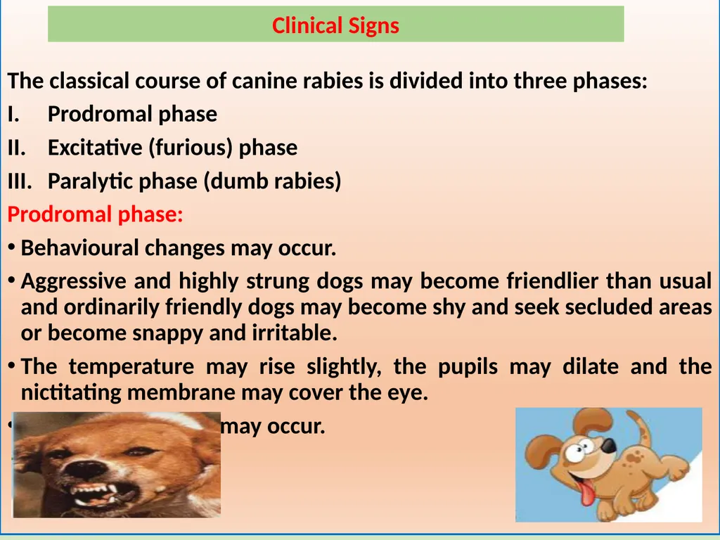 RABIES Unit-5 Anil Kumar Asst. Professor Dept. of - slide 7 of 13