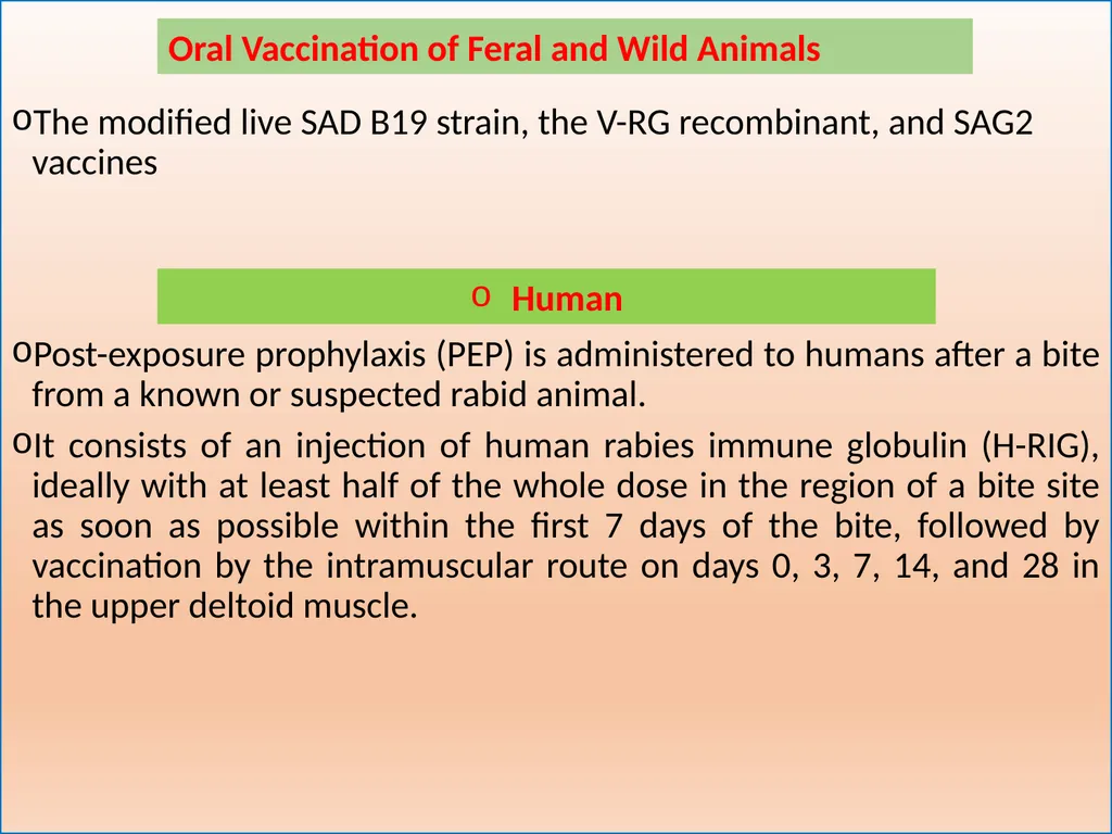RABIES Unit-5 Anil Kumar Asst. Professor Dept. of - slide 12 of 13