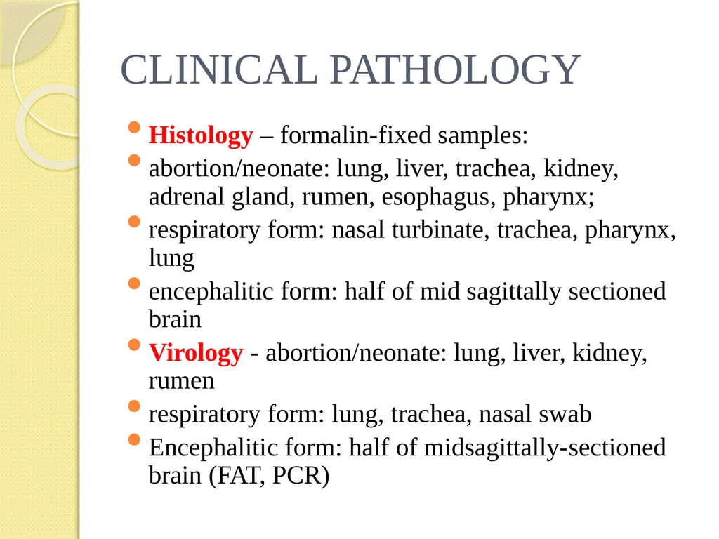 Infectious Bovine Rhinotracheitis (IBR) Dr Padma - slide 15 of 25