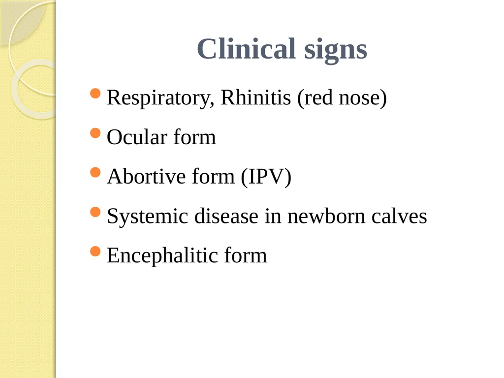Infectious Bovine Rhinotracheitis (IBR) Dr Padma - slide 7 of 25