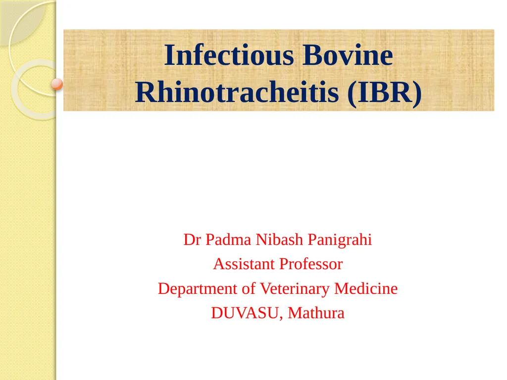 Infectious Bovine Rhinotracheitis (IBR) Dr Padma - slide 1 of 25