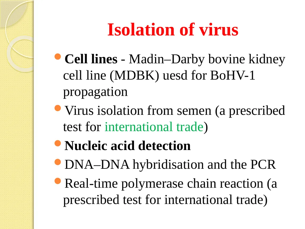 Infectious Bovine Rhinotracheitis (IBR) Dr Padma - slide 16 of 25