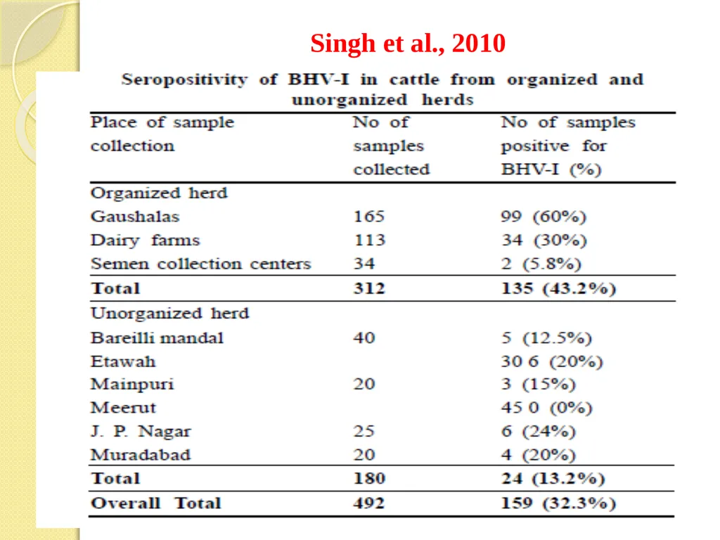 Infectious Bovine Rhinotracheitis (IBR) Dr Padma - slide 4 of 25