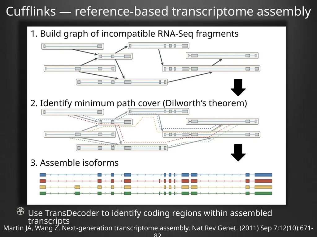 RNA-Seq Primer Understanding the RNA-Seq evidence - slide 18 of 29