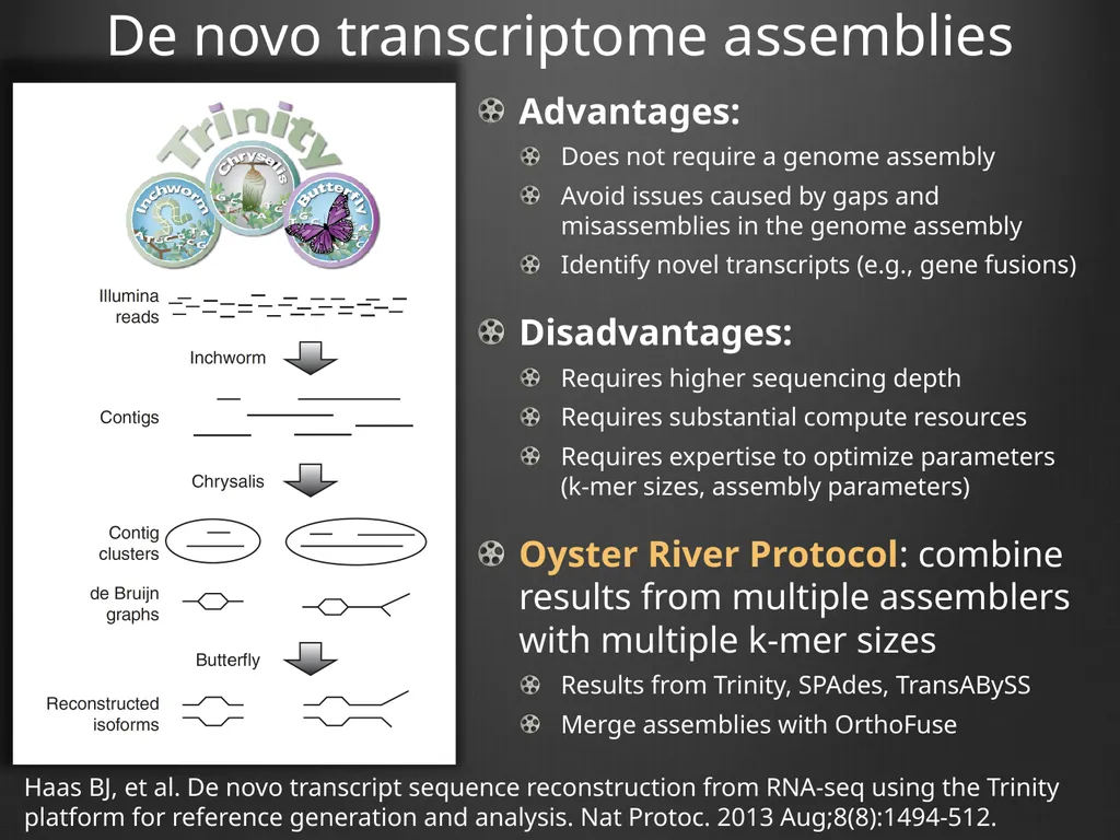 RNA-Seq Primer Understanding the RNA-Seq evidence - slide 21 of 29