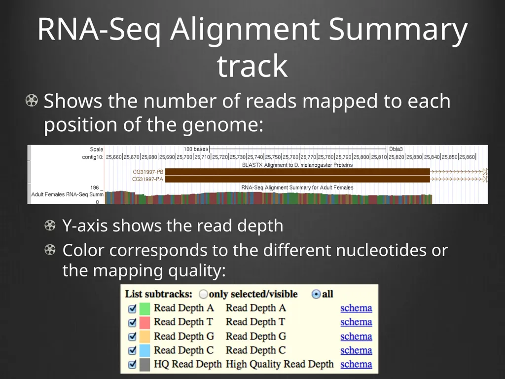 RNA-Seq Primer Understanding the RNA-Seq evidence - slide 11 of 29