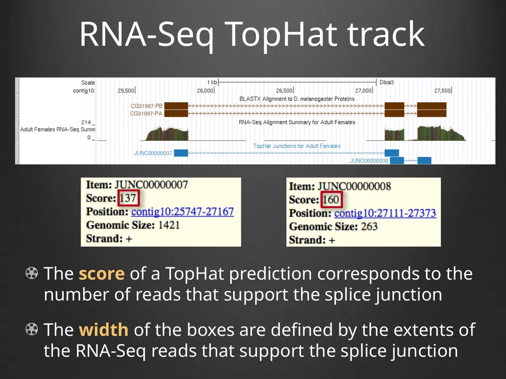 RNA-Seq Primer Understanding the RNA-Seq evidence - slide 15 of 29