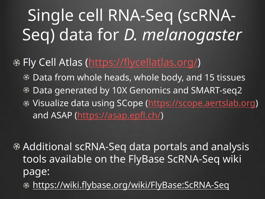 RNA-Seq Primer Understanding the RNA-Seq evidence - slide 4 of 29
