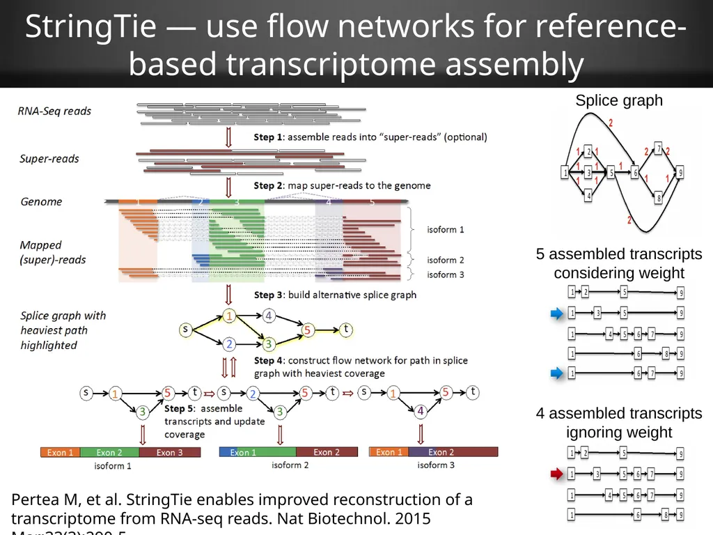 RNA-Seq Primer Understanding the RNA-Seq evidence - slide 19 of 29