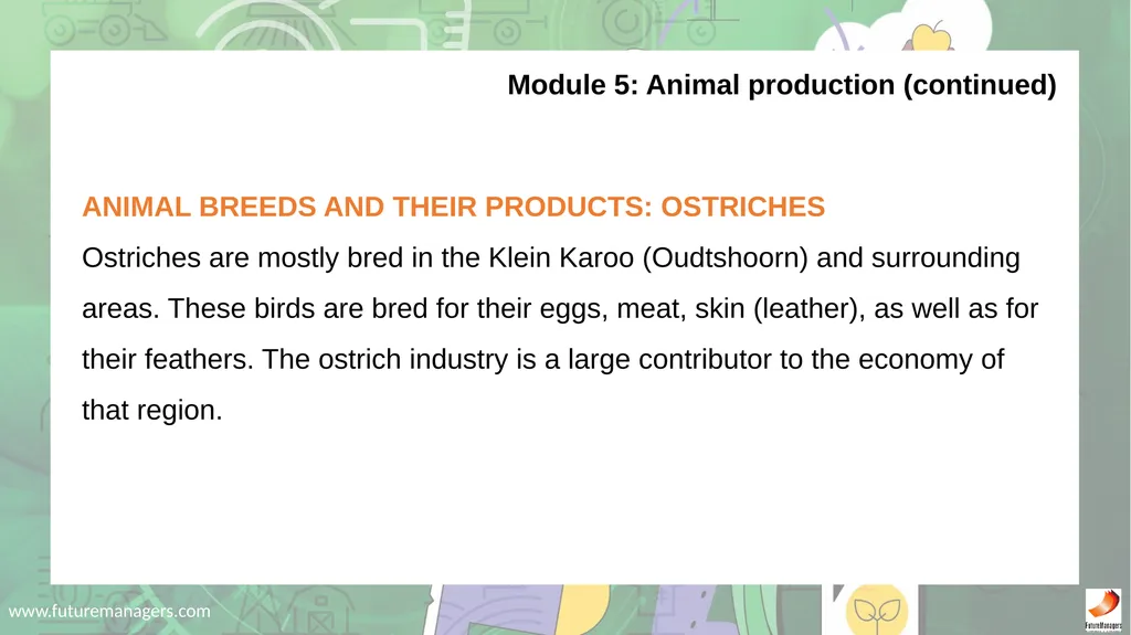 Agricultural Studies Grade 8 - slide 35 of 53