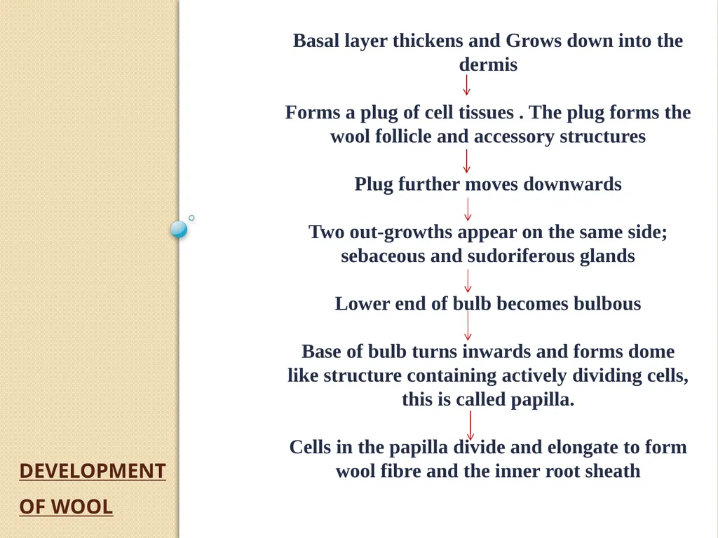 Wool Part 2 (A part of Unit II- 3rd Prof. - slide 3 of 17