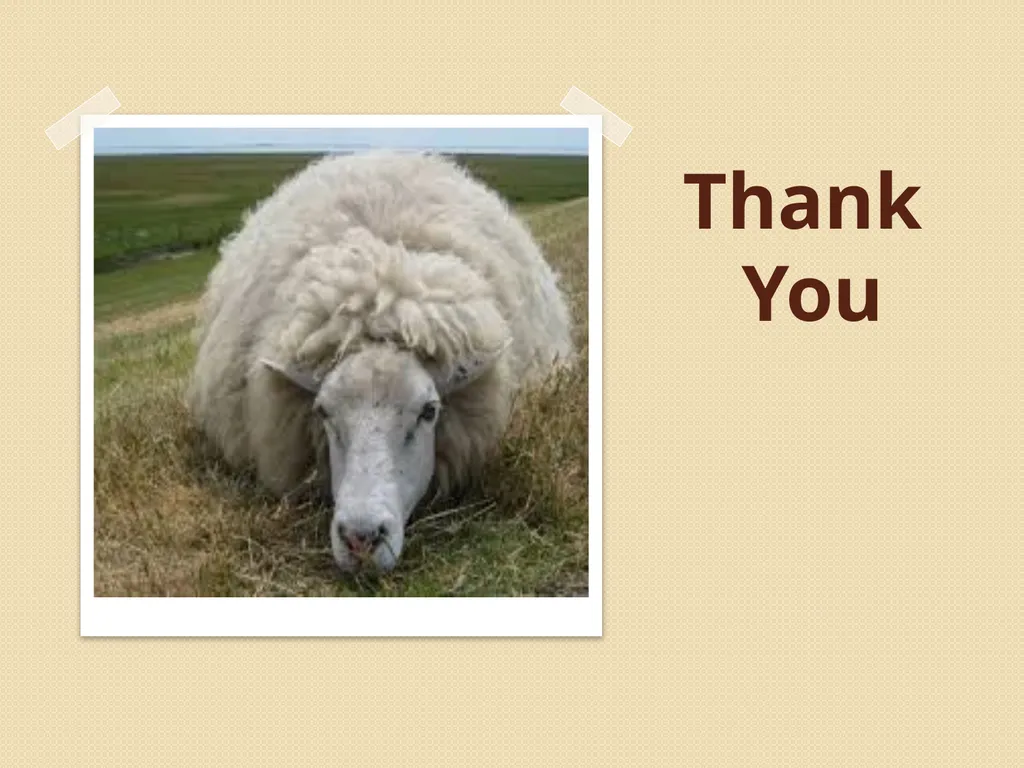 Wool Part 2 (A part of Unit II- 3rd Prof. - slide 17 of 17