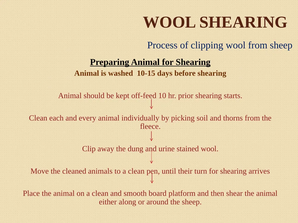 Wool Part 2 (A part of Unit II- 3rd Prof. - slide 7 of 17