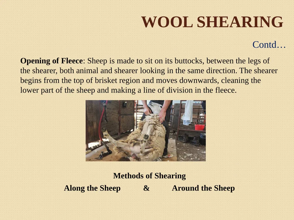 Wool Part 2 (A part of Unit II- 3rd Prof. - slide 8 of 17
