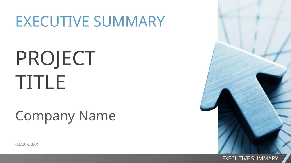 EXECUTIVE SUMMARY SLIDE TEMPLATE EXECUTIVE SUMMARY - slide 2 of 15