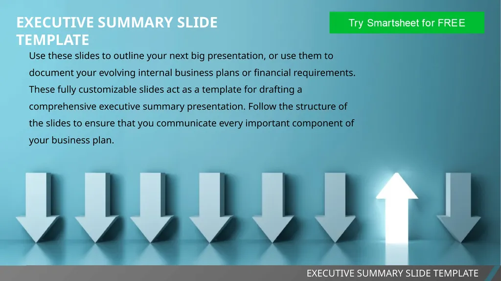 EXECUTIVE SUMMARY SLIDE TEMPLATE EXECUTIVE SUMMARY - slide 1 of 15
