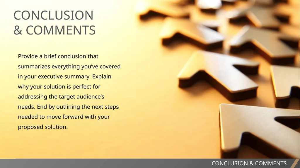 EXECUTIVE SUMMARY SLIDE TEMPLATE EXECUTIVE SUMMARY - slide 14 of 15