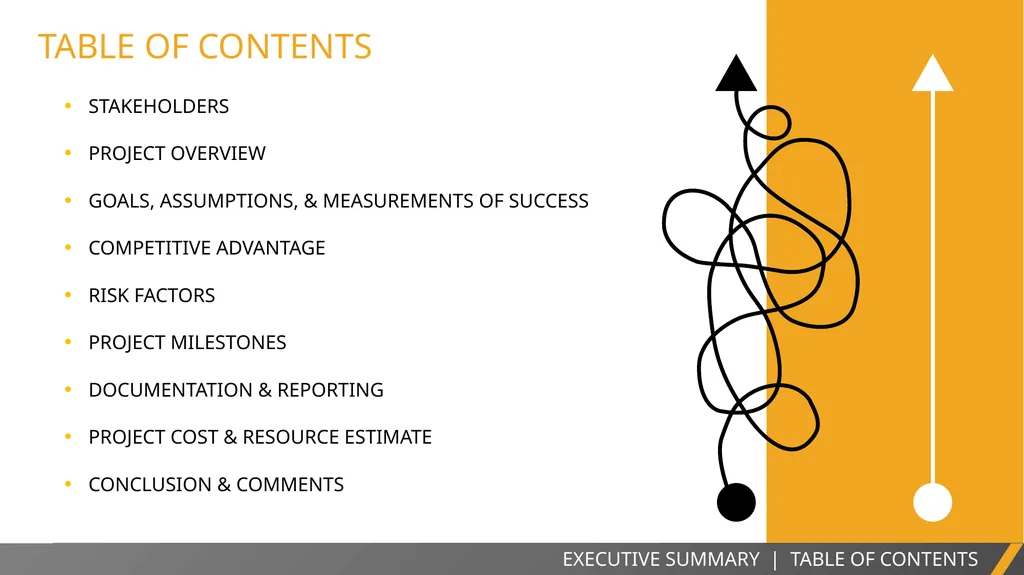 EXECUTIVE SUMMARY SLIDE TEMPLATE EXECUTIVE SUMMARY - slide 3 of 15
