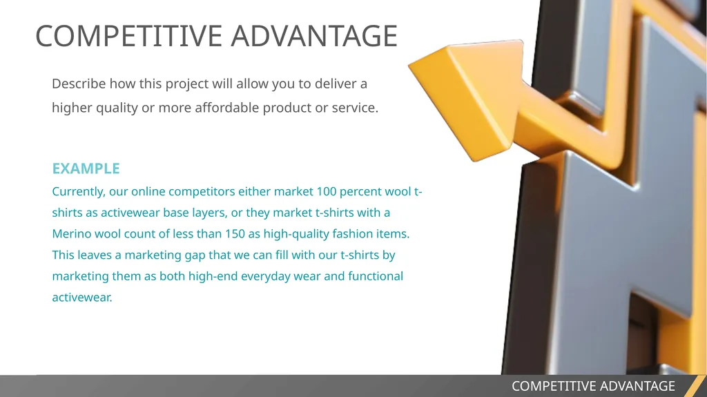EXECUTIVE SUMMARY SLIDE TEMPLATE EXECUTIVE SUMMARY - slide 7 of 15