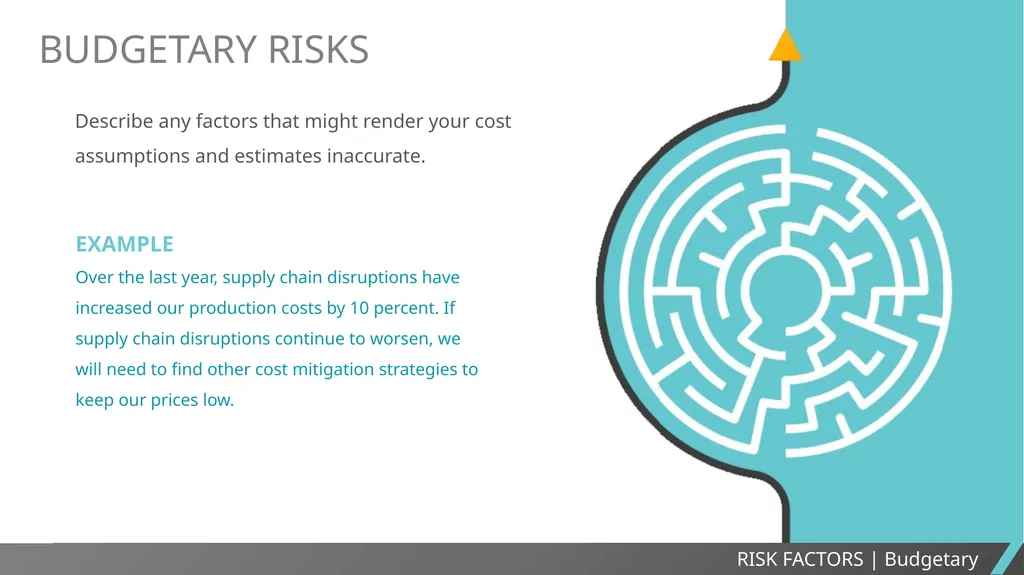EXECUTIVE SUMMARY SLIDE TEMPLATE EXECUTIVE SUMMARY - slide 10 of 15