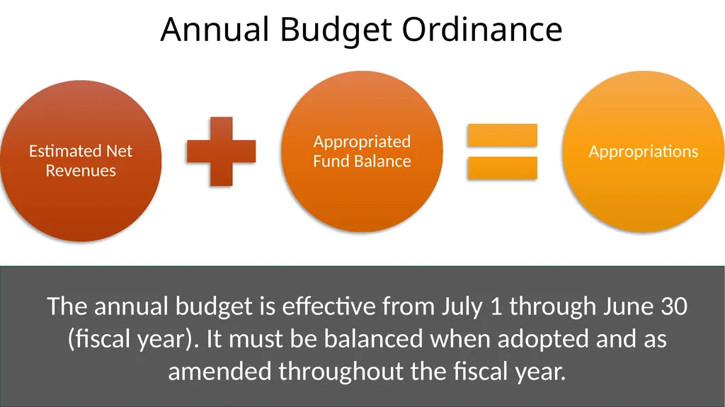 Local Government Fundamentals Kara Millonzi - slide 13 of 30