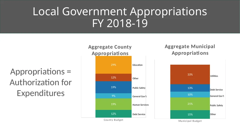 Local Government Fundamentals Kara Millonzi - slide 17 of 30