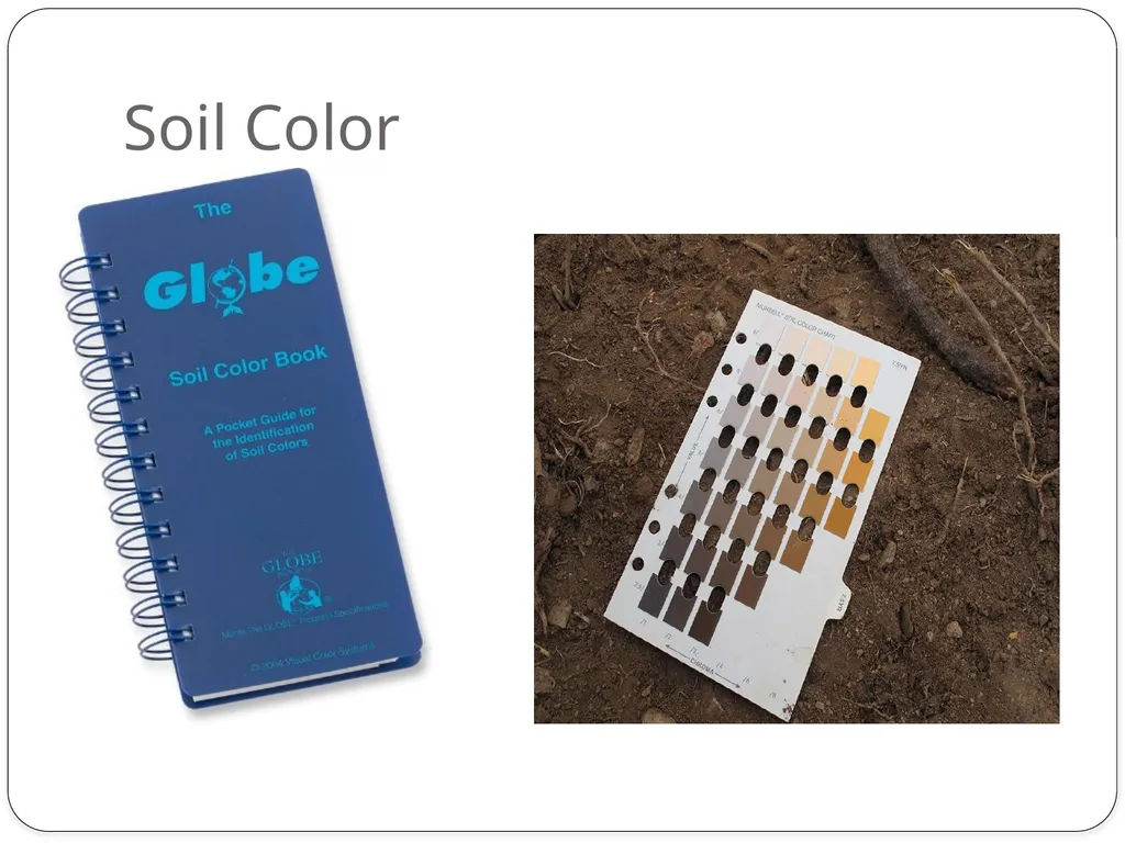 Forensics of Soil Soil Composition Soils are made - slide 9 of 29