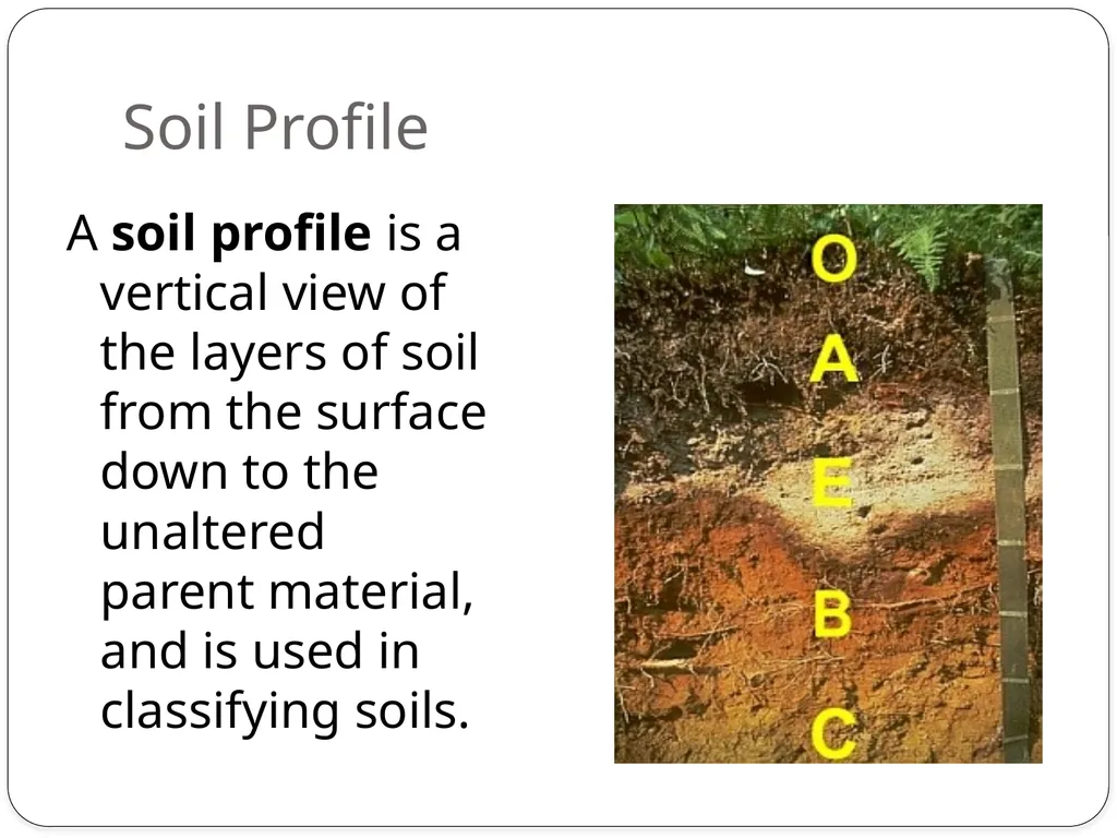 Forensics of Soil Soil Composition Soils are made - slide 22 of 29