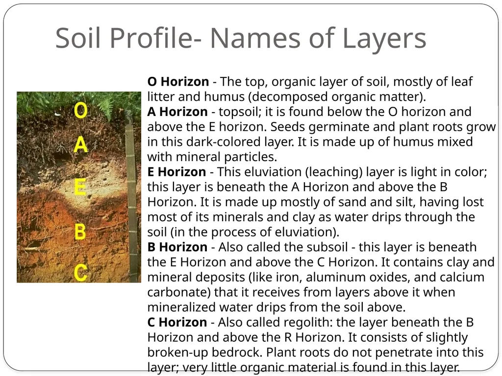 Forensics of Soil Soil Composition Soils are made - slide 23 of 29