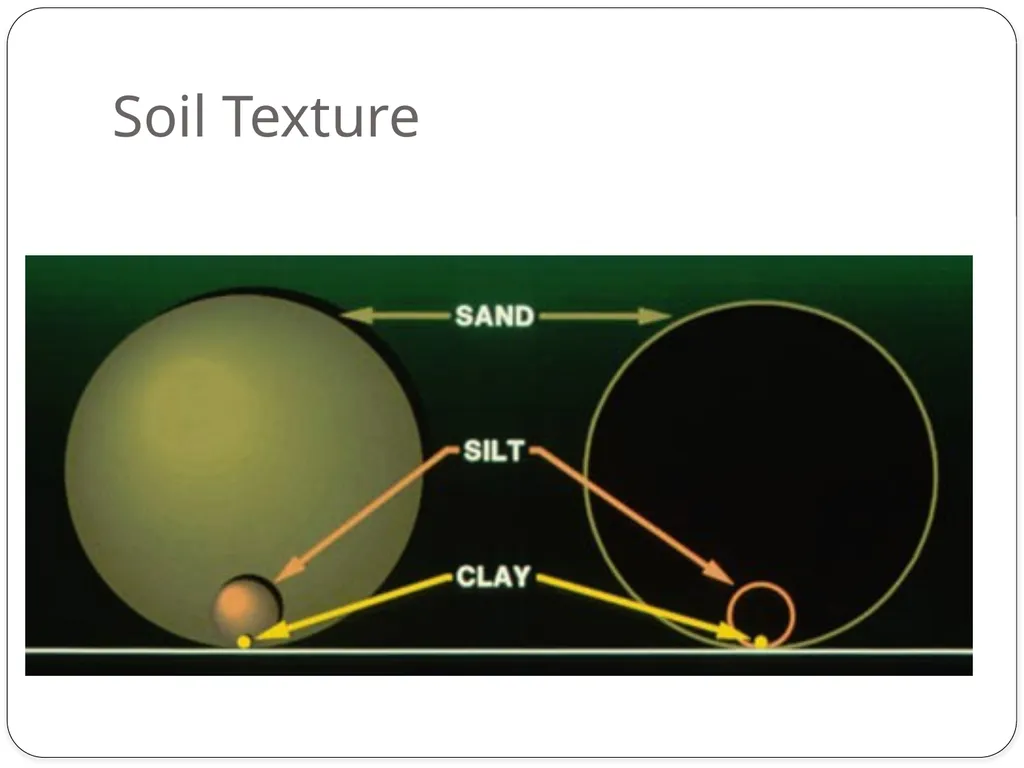 Forensics of Soil Soil Composition Soils are made - slide 13 of 29