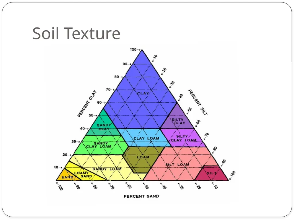 Forensics of Soil Soil Composition Soils are made - slide 16 of 29