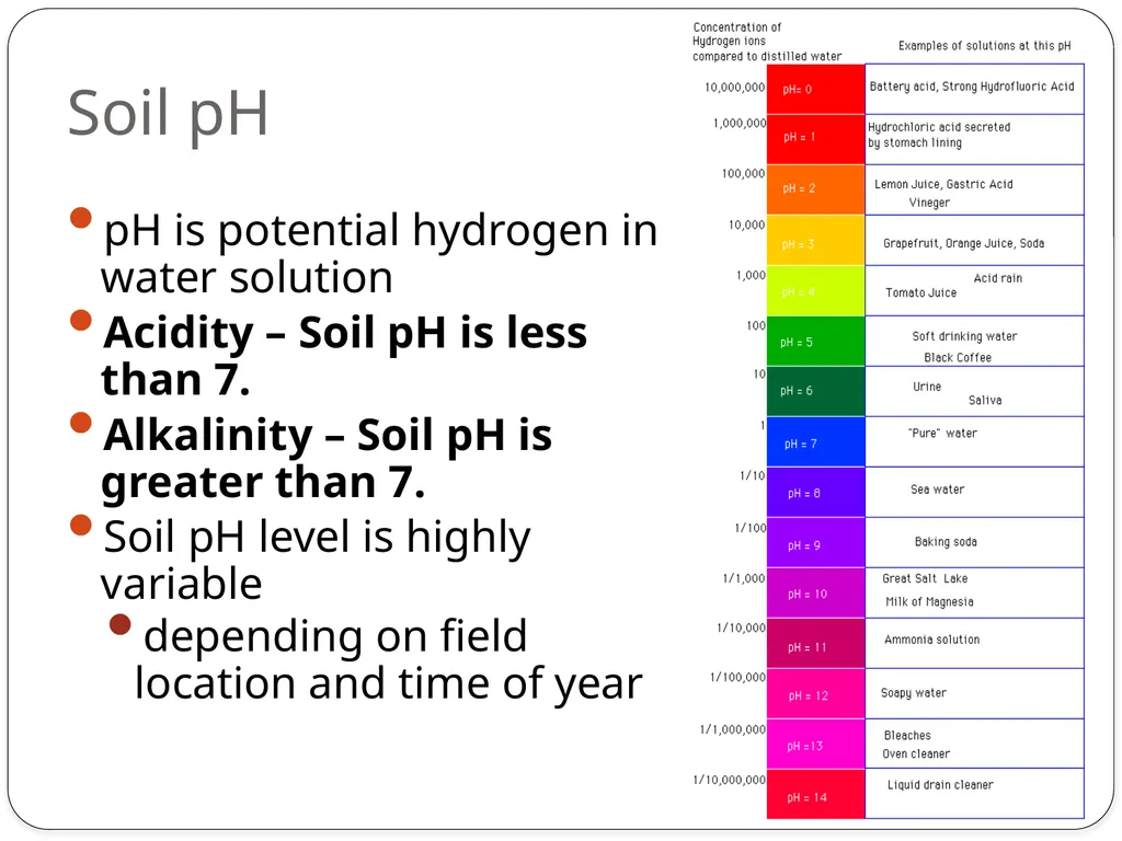 Forensics of Soil Soil Composition Soils are made - slide 18 of 29