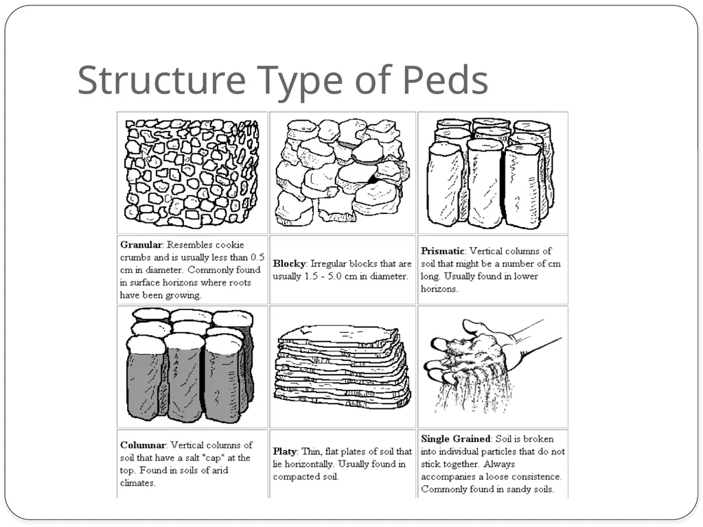 Forensics of Soil Soil Composition Soils are made - slide 11 of 29